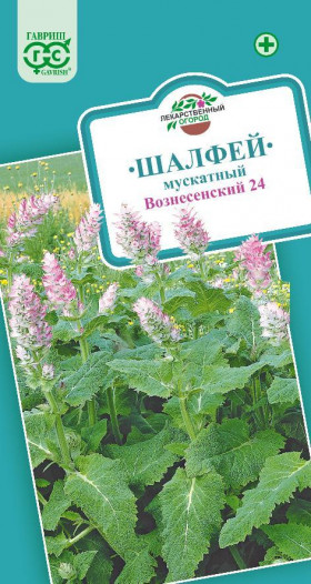 Мускатный вознесенский 24 Ц(Г)