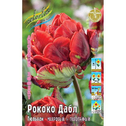 Рококо Дабл 11/12 (2й эффект.) 7шт