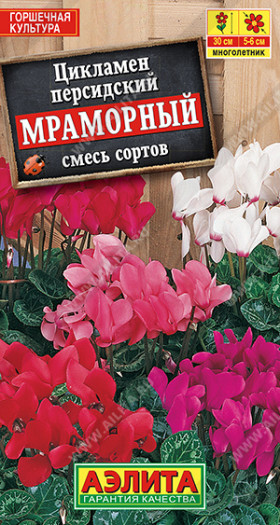 Мраморный персидский смесь Ц(А)