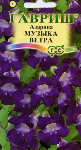 Музыка ветра Ц(Г)