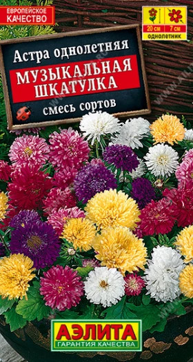 Музыкальная шкатулка смесь Ц(А)