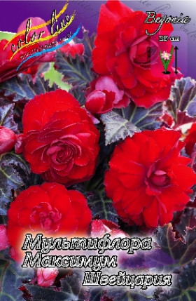 Мультифлора Максима Швейцария  3шт