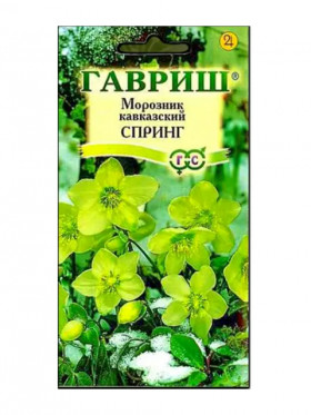 Спринг Кавказский  0,1гр Ц(Г)