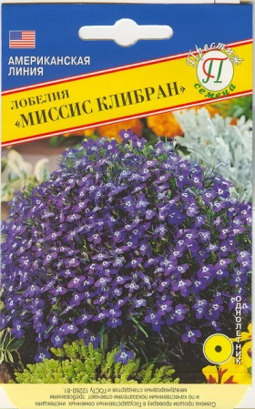 Миссис Клибран Ц(П)