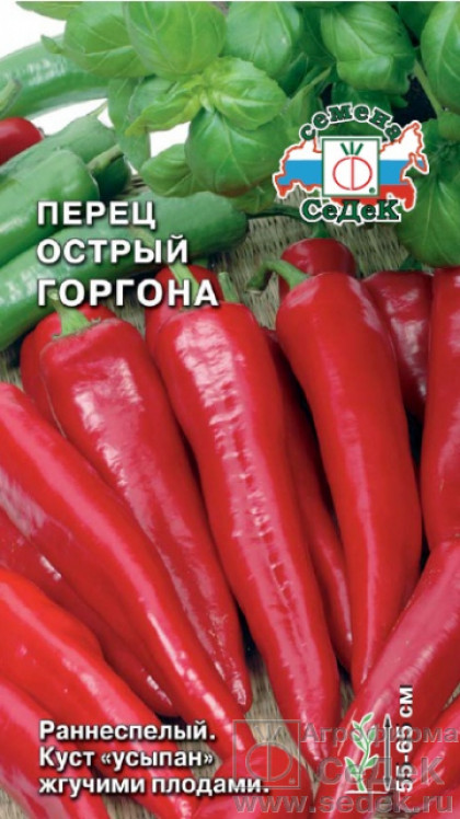 Горгона острый Ц(С)