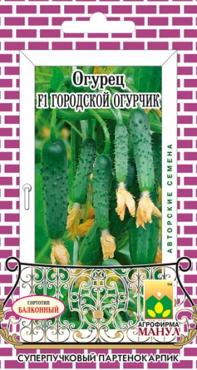 Городской огурчик Манул
