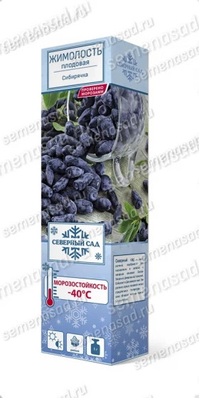 Сибирячка Поиск