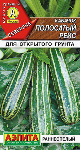 Полосатый рейс цуккини Ц(А)