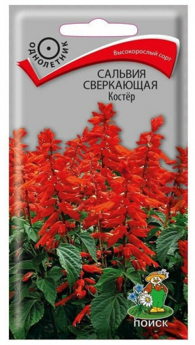 Костер Ц(Поиск)