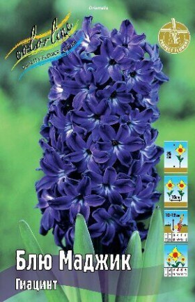 Блю Маджик 14/15, 3шт