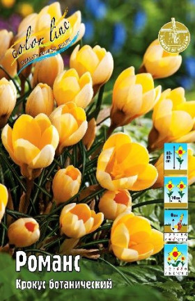 Романс (хриз.) 5/7, 10шт