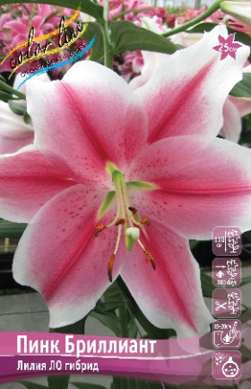 Пинк Бриллиант 12/14 ( ЛО) 5шт