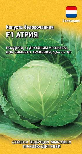 Атрия 10шт для кваш. Ц(Г)