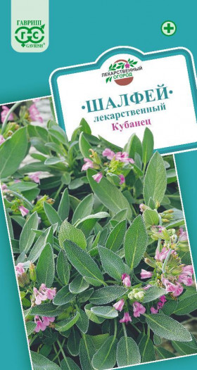 Кубанец лекарственный Ц(Г)