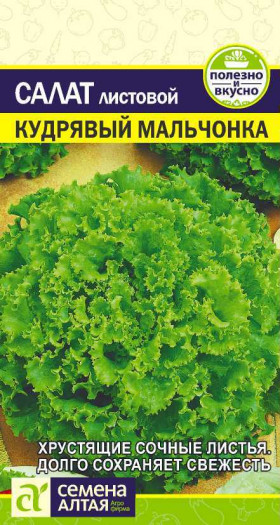 Кудрявый Мальчонка Ц(Алт)