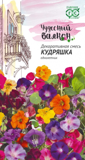 Кудряшка однолет. Чудесн. балк. Ц(Г)