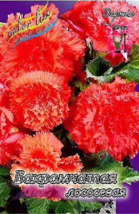Бахромчатая Лососевая 3шт