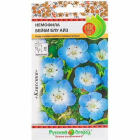 Бейби блу Айз Ц(Н)