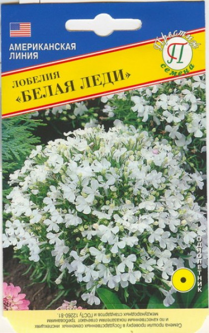 Белая леди Ц(П)