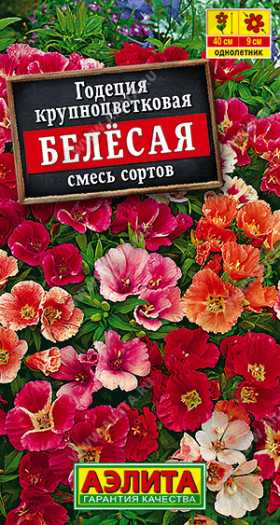 Белесая Ц(А)