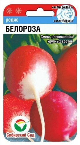 Белороза СС