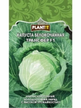 Капуста Трансфер б/к Plantit