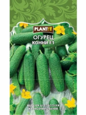 Огурец Конни Plantit