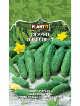 Огурец Либелле Plantit
