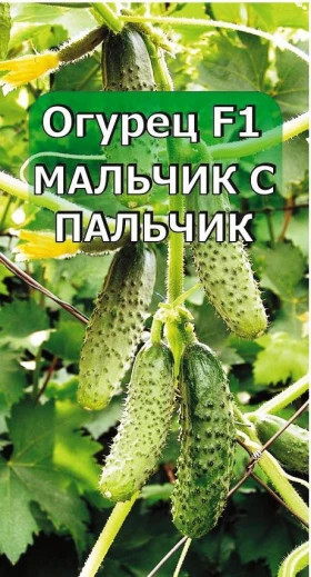 Огурец Мальчик с пальчик Plantit