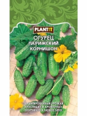 Огурец Парижский корнишон Plantit