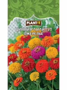 Цинния Лилипут Ожерелье Plantit