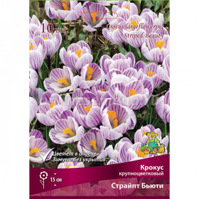 Стрипед Бьюти крупноцв. 10шт