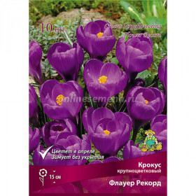 Флауэр Рекорд крупноцв. 10шт