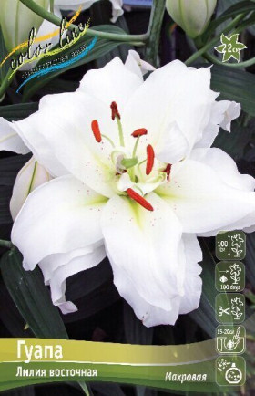 Гуапа, вост. махр. 5шт