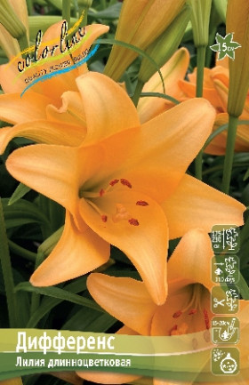 Дифференс (лонг)  5шт