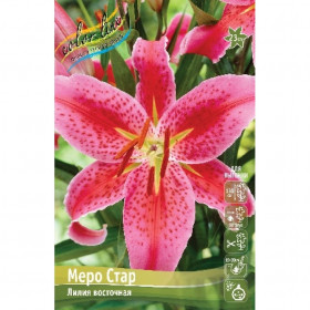 Меро Стар 12/14 (вост.махр ) 7шт