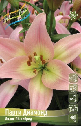 Парти Диамонд 10/12 (ЛА) 7шт