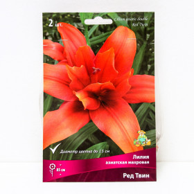 Ред Твин 12/14 (аз.махр.) 5шт