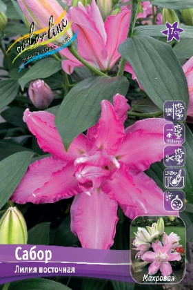 Сабор 12/14 (вост.махр) 5шт