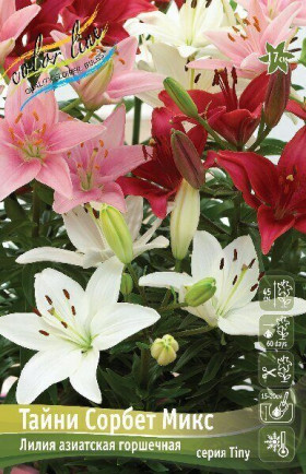 Тайни Сорбет Микс 10/12 (аз.низк.) 5шт