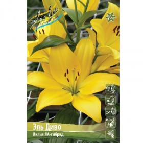 Эль Диво 12/14 ЛА 7шт