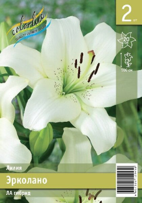 Эрколано 12/14 ЛА 7шт