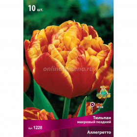 Аллегретто 11/12 (махр.поздн.) 7шт