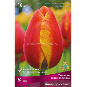 Апельдоорнс Элит 11/12 (дарв.) 10шт