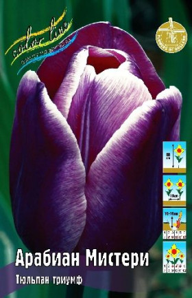 Арабиан Мистери 11/12 (триумф.) 7шт