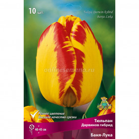 Банья Лука 12/+ (дарв.) 7шт