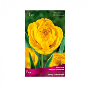 Йеллоу Помпонетт 11/12 (махр.поздн.) 8шт