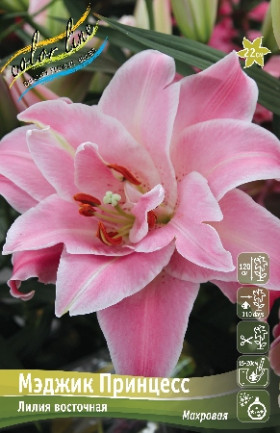 Мэджик Принцесс 12/14 (вост махр) 5шт