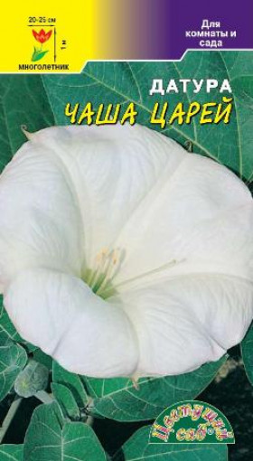 Чаша царей белая/Цветущий Сад