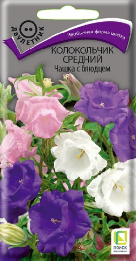 Чашка с блюдцем Ц(Поиск)